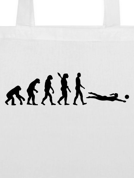 Évolution Beach volley