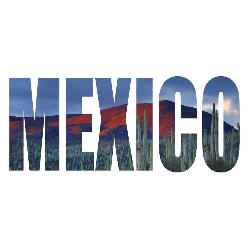 mexico mexico cactus