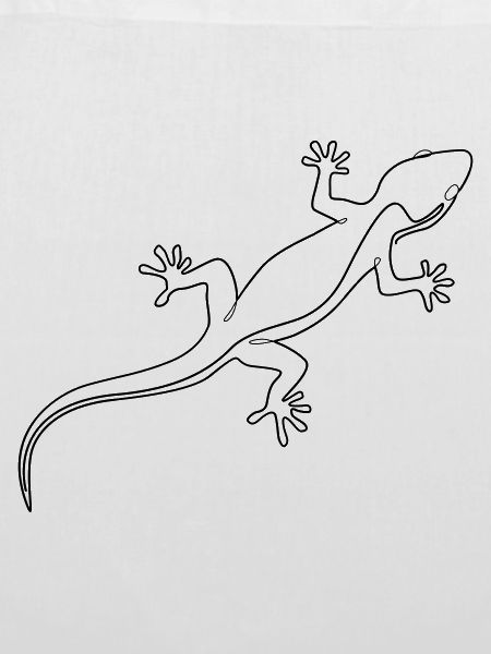 Strichzeichnung Gecko