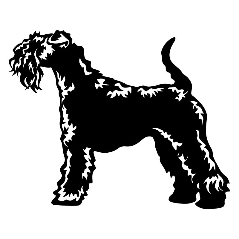 Kerry Blue Terrier