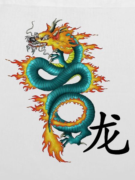 Drache - Long