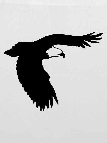 Adler im Flug