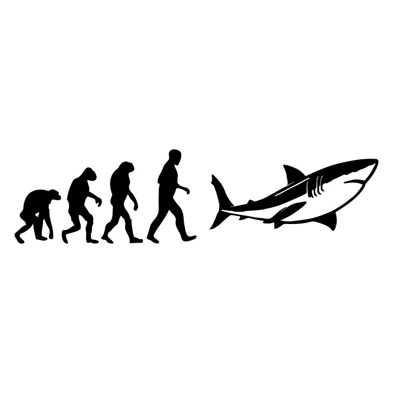 Shark Evolution