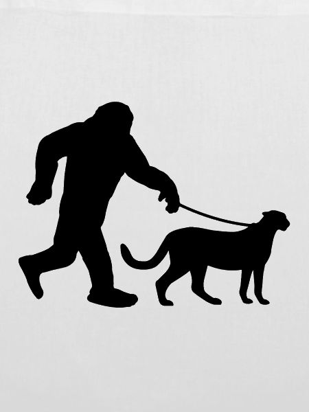 Bigfoot & Gepard
