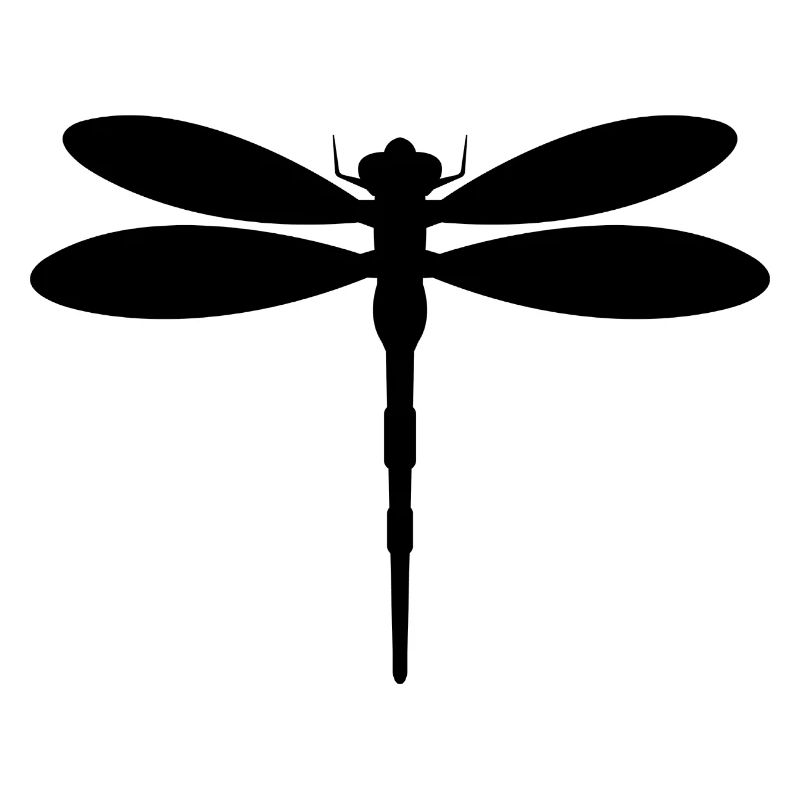 Libellule