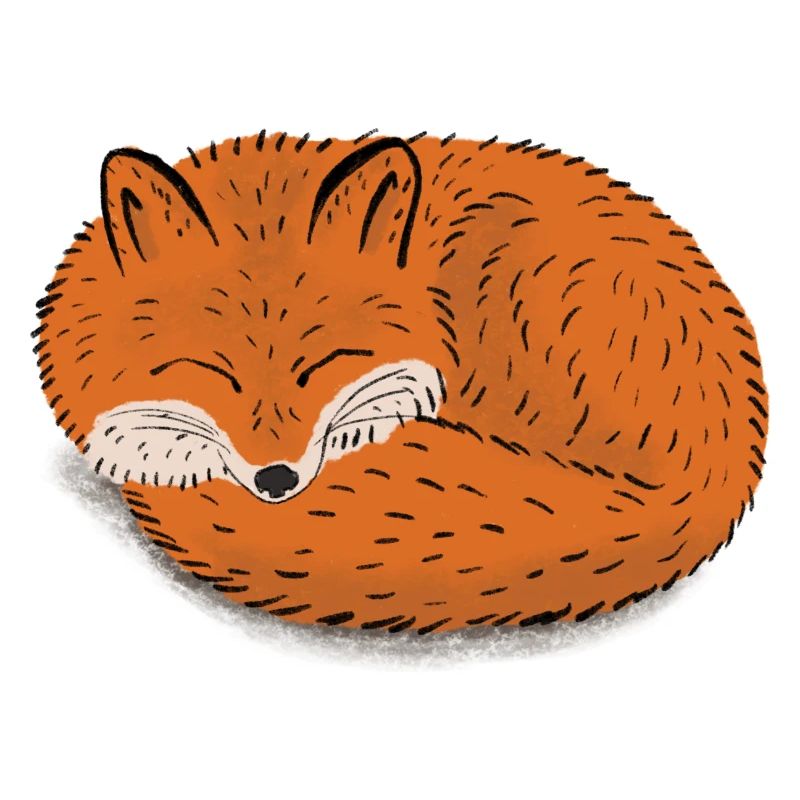 Sleepy Fox
