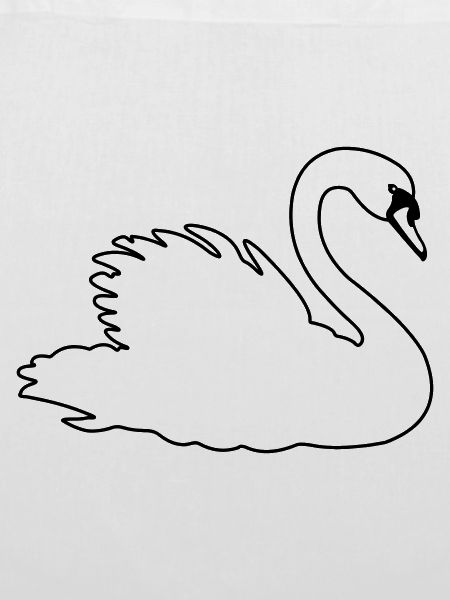 Transparenter Schwan
