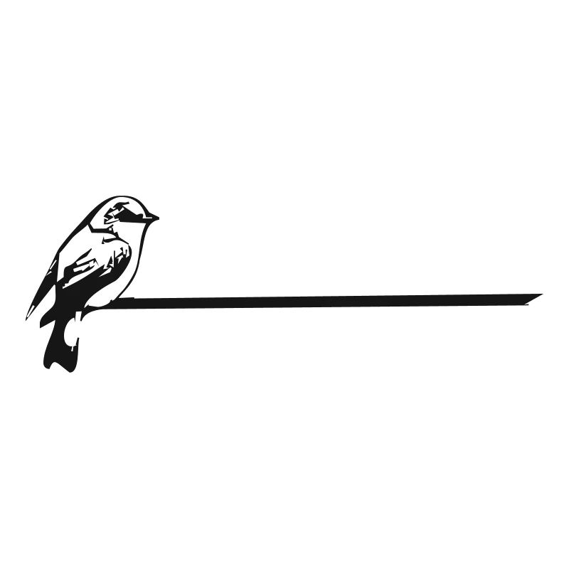 Spatz