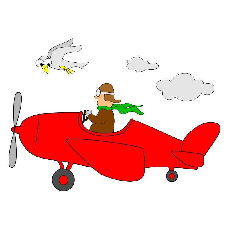Flugzeug Pilot