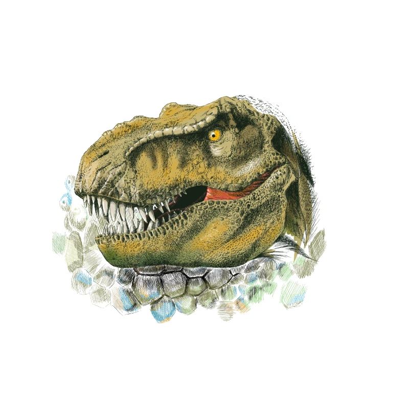 Dinosaur