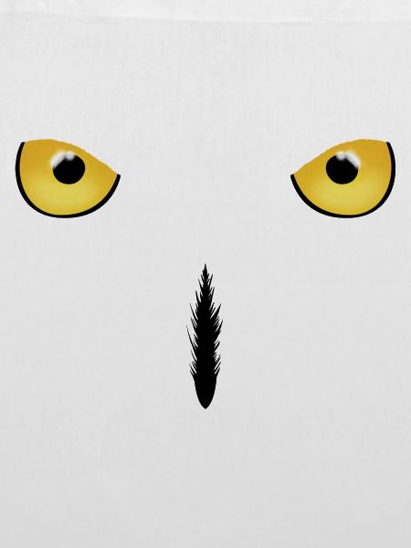 Schneeeule Eule Snowy Owl