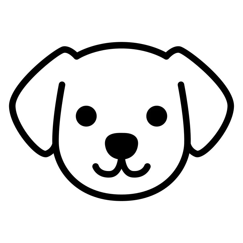 Hund Welpe Gesicht