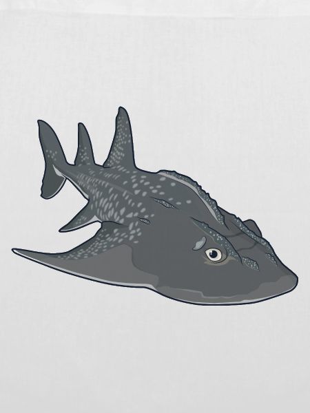 Bowmouth-Gitarrenrochen Cartoon-Stil