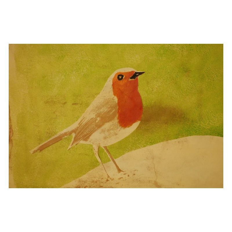 Vogelillustration mit rotem Bauch