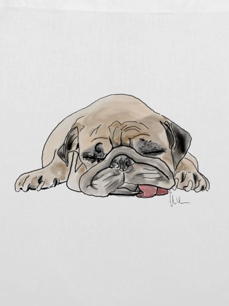 Pug Mops Wauwau
