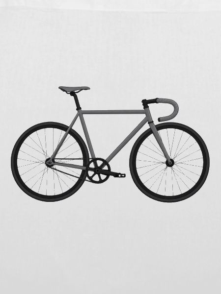 Fixie Bike grau