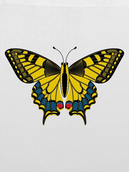 Schmetterling – Butterfly