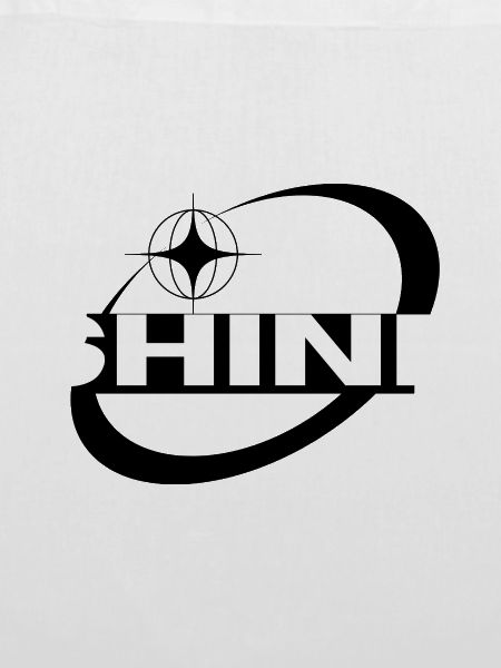 Shine Y2K 