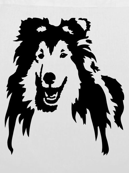 Collie