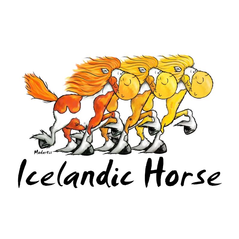 Islandpferde Trio - Isländer