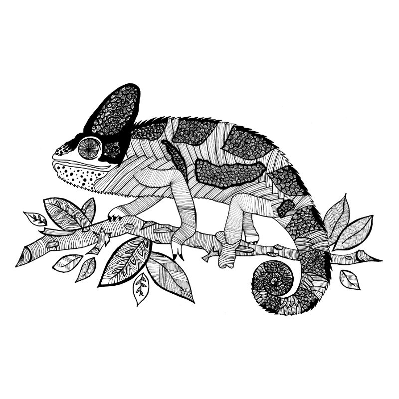 Chamäleon