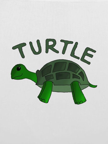 Turtle