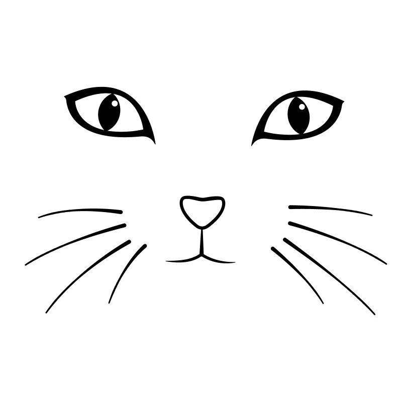 Katze