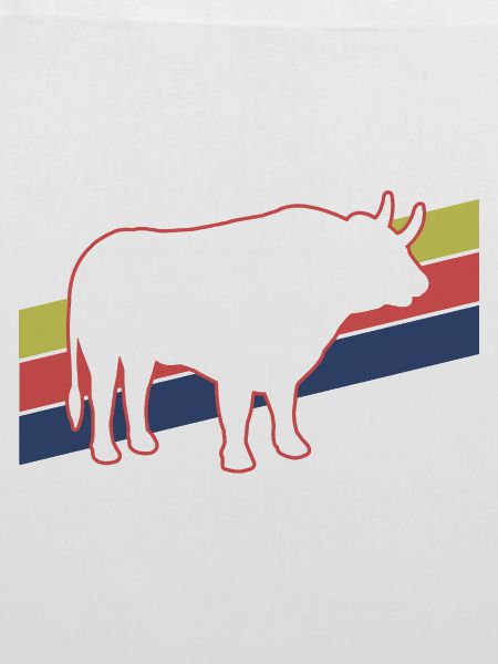 Stier Retro - Look