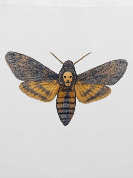 Sphinx-Schädel-Nacht-Schädel-Schmetterling