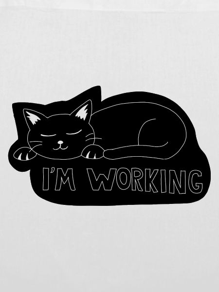 Schlafende Katze bei der Arbeit