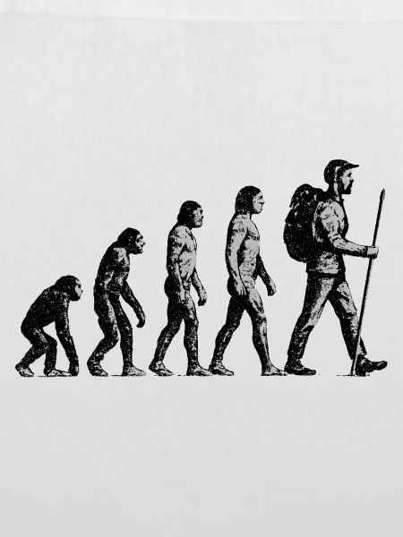 Evolution to Wandersmann Grunge Design