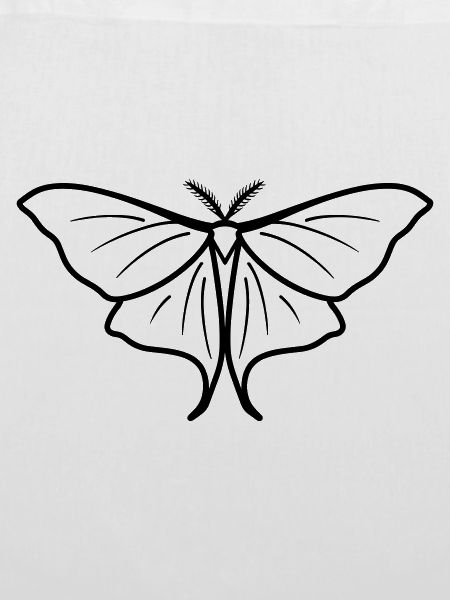 Moon Butterfly