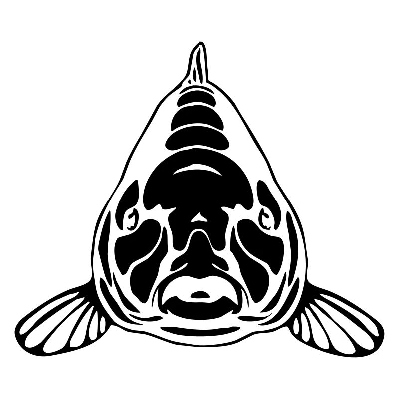 CARP