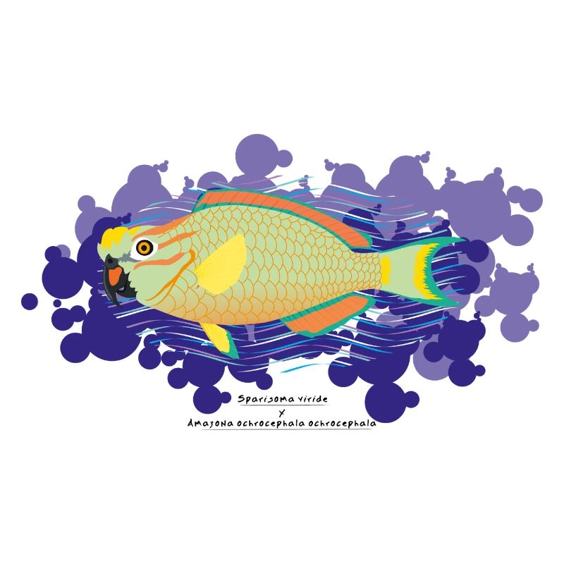 Papageienfisch / Hybride