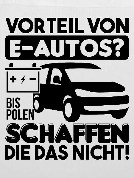 Elektroauto Fan