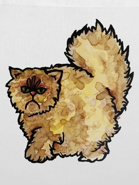 Grumpy Fluffy Cat Aquarell