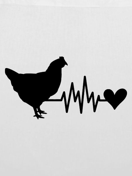 Huhn Herz