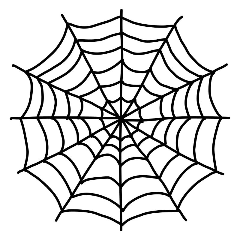 Spinnennetz