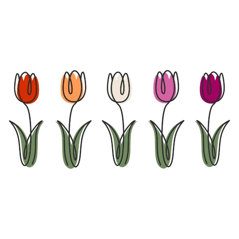 Tulpen in Farbvielfalt Blumendesign