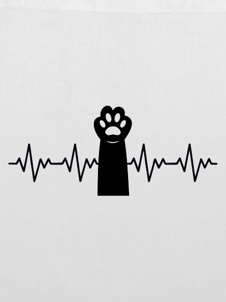 Katzenpfote EKG Herzschlag