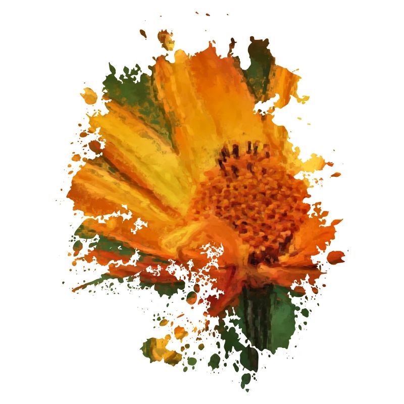 Blume