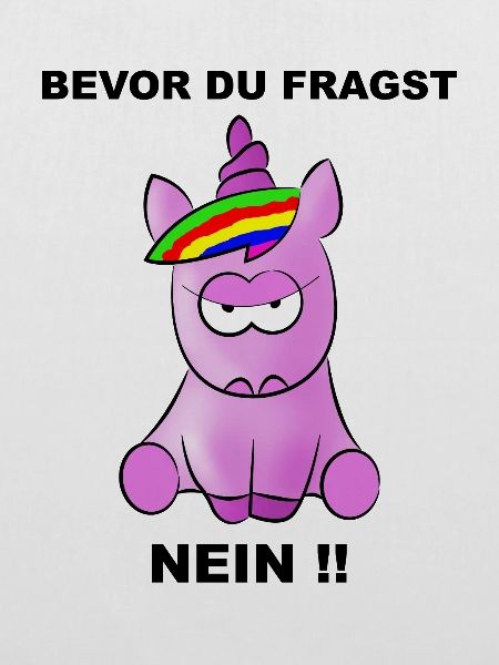 Bevor Du fragst - NEIN!!