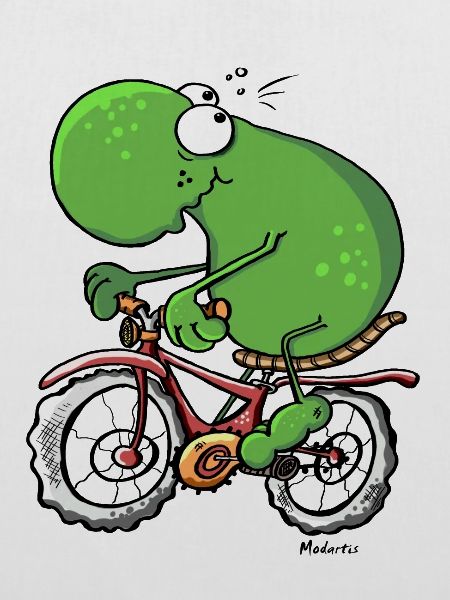 Radtour Frosch