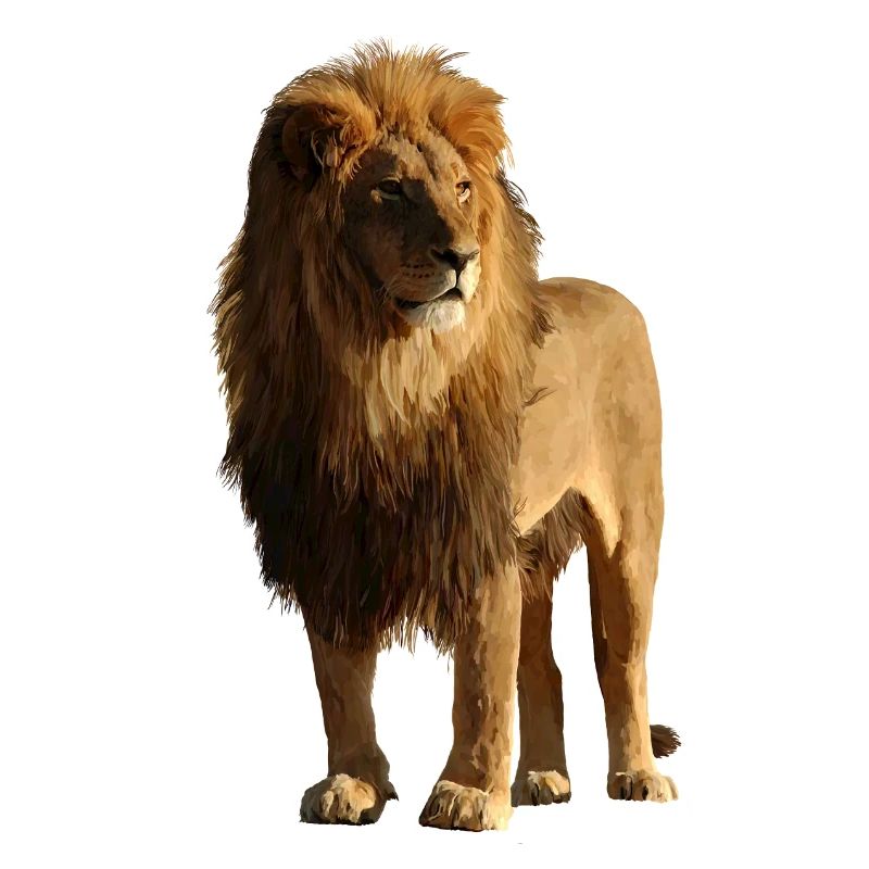 Löwe