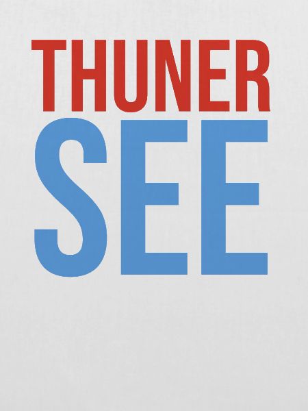 Thunersee Souvenir T-Shirt