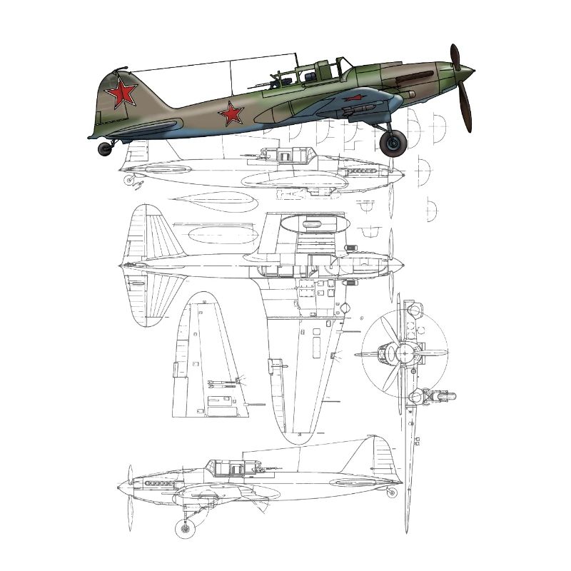 IL-2