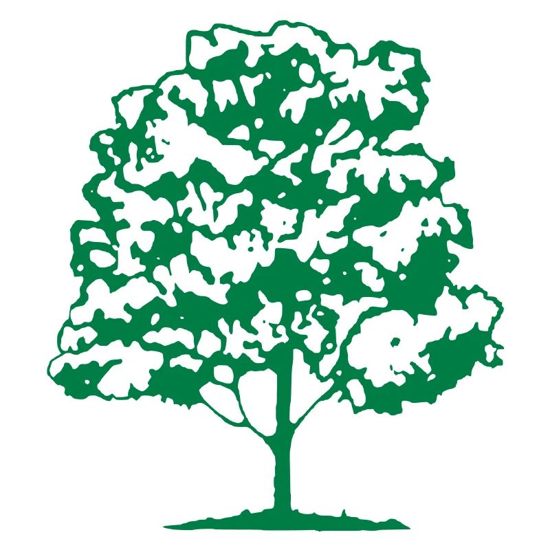 baum