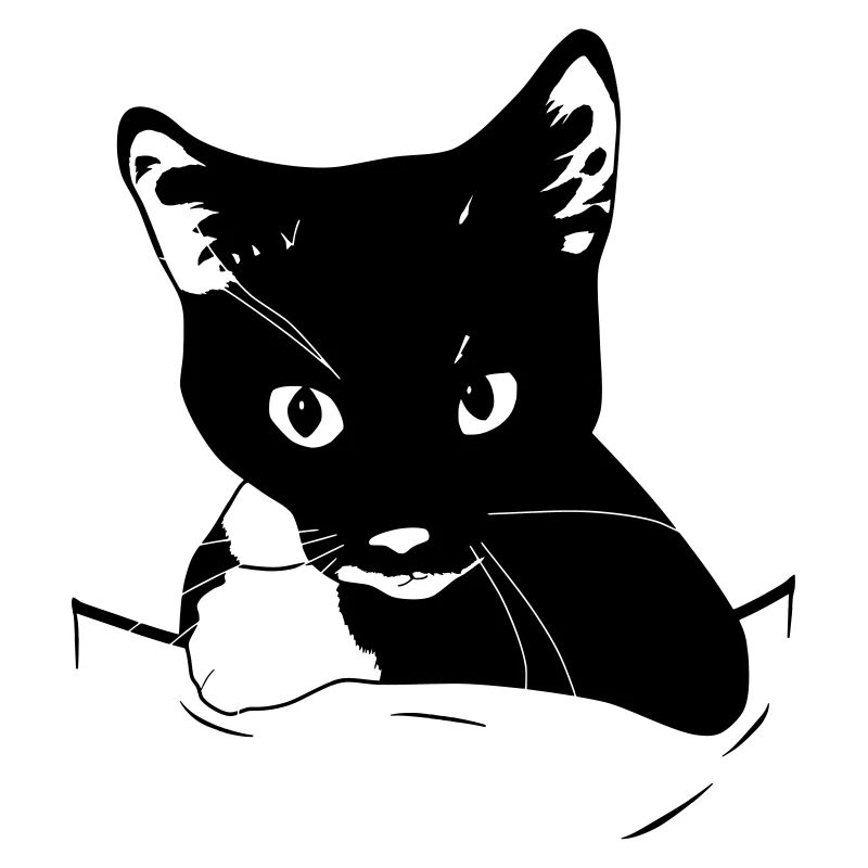 Cat Cleo solid color