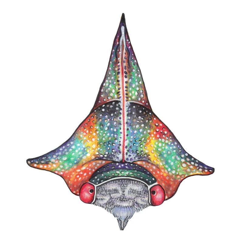 Treehopper