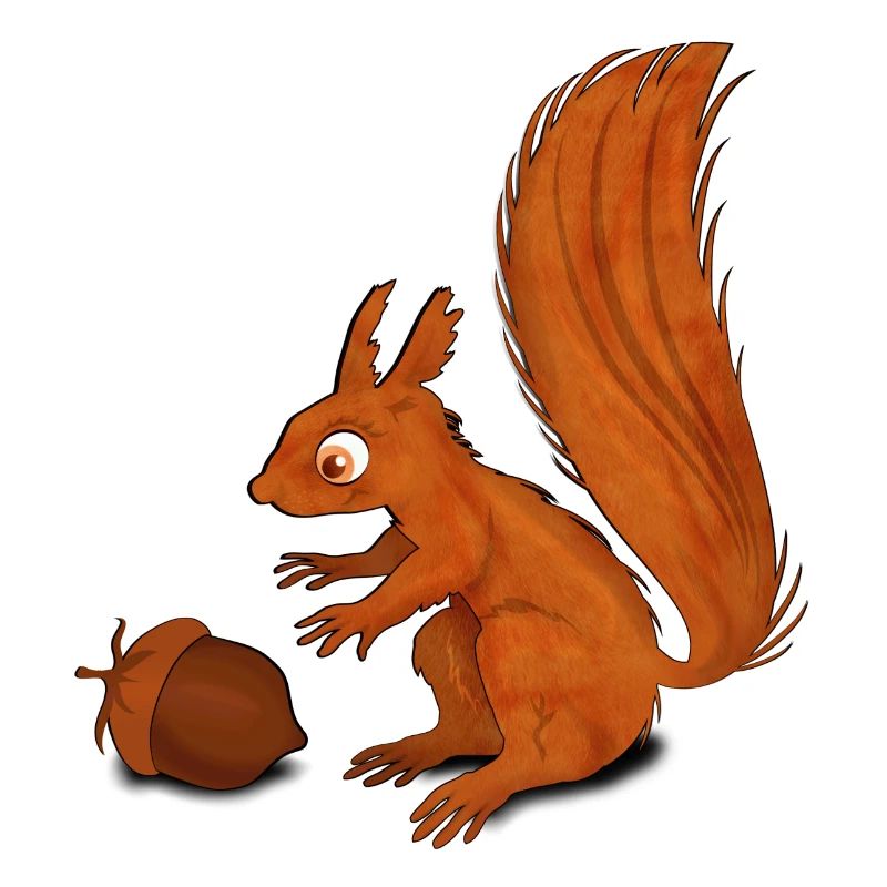 Squirrel with Nut